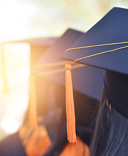 rear view of row of students with grad caps on